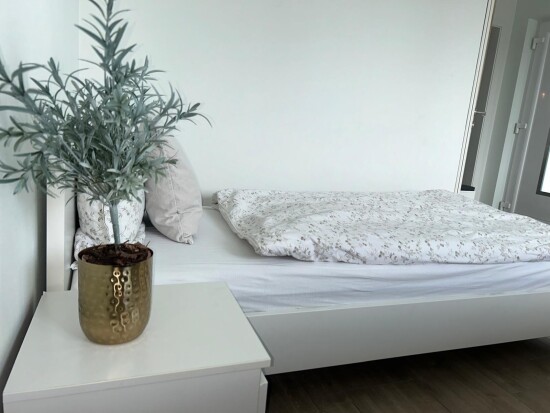 Wohnung GROßE GRUPPEN | KÜCHE+BAD | FREE PARKING | FREE WiFi | 2-3 ZI-WHG Dein Team von DeinApartment 31535 Neustadt am Rübenberge 172225065566a7759f9a0cb